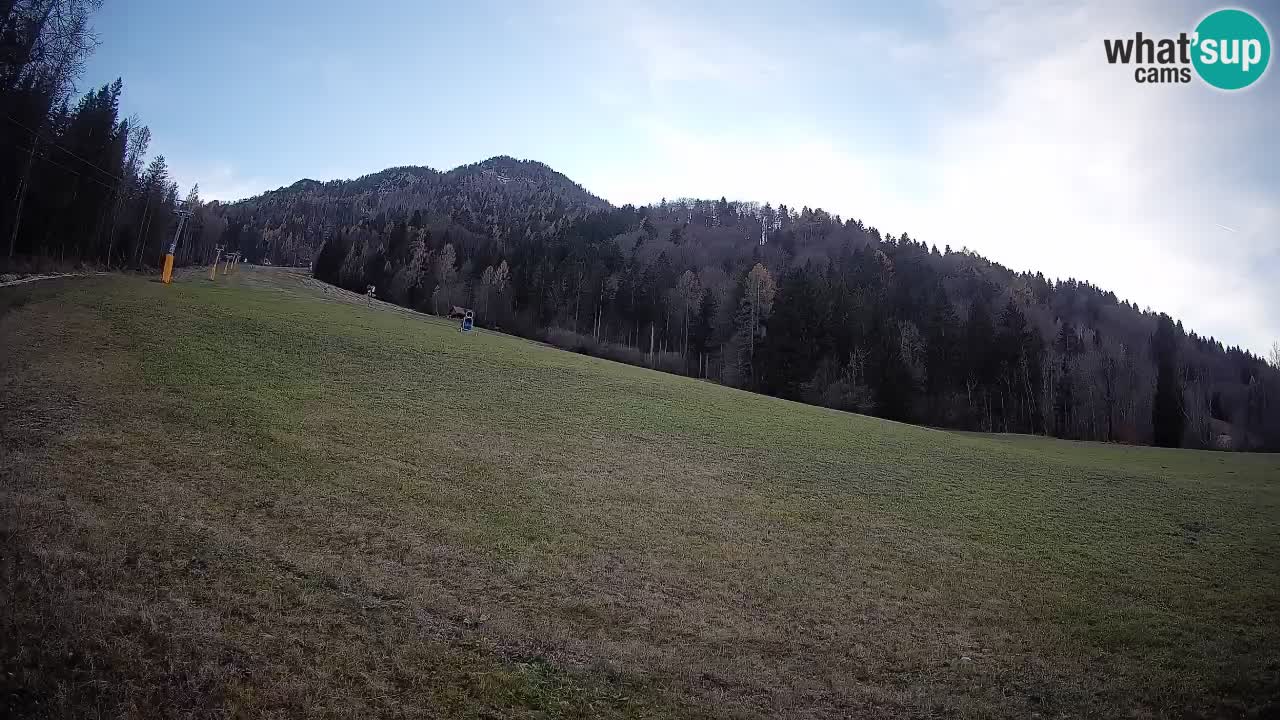 Esquí Kranjska Gora | Brsnina