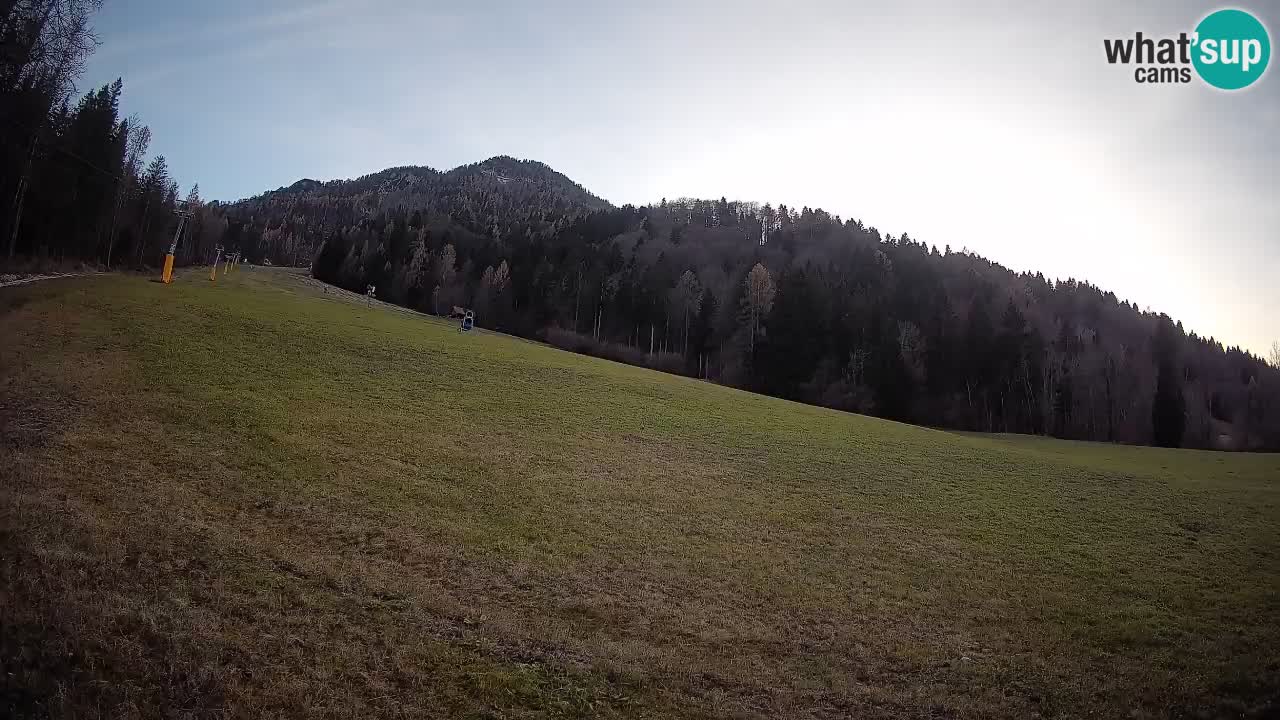 Kranjska Gora SKIJANJE | Brsnina