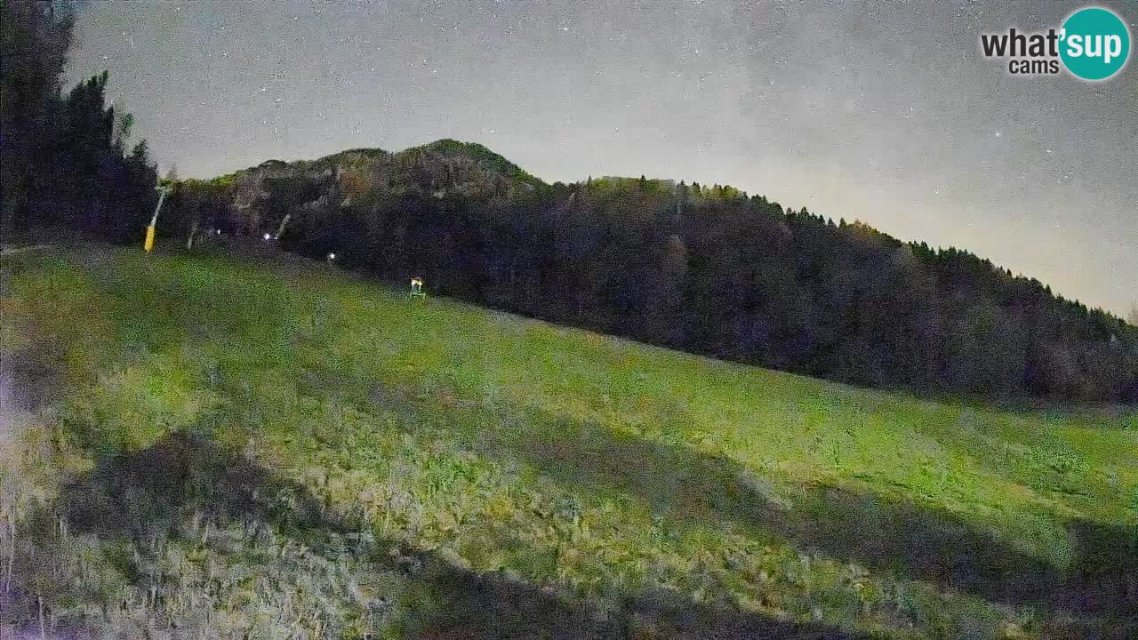 Kranjska Gora Station de ski | Brsnina