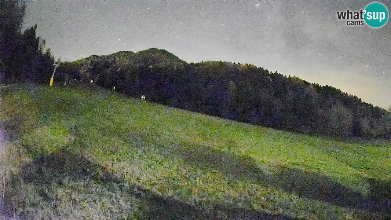 RTC Kranjska Gora | Brsnina