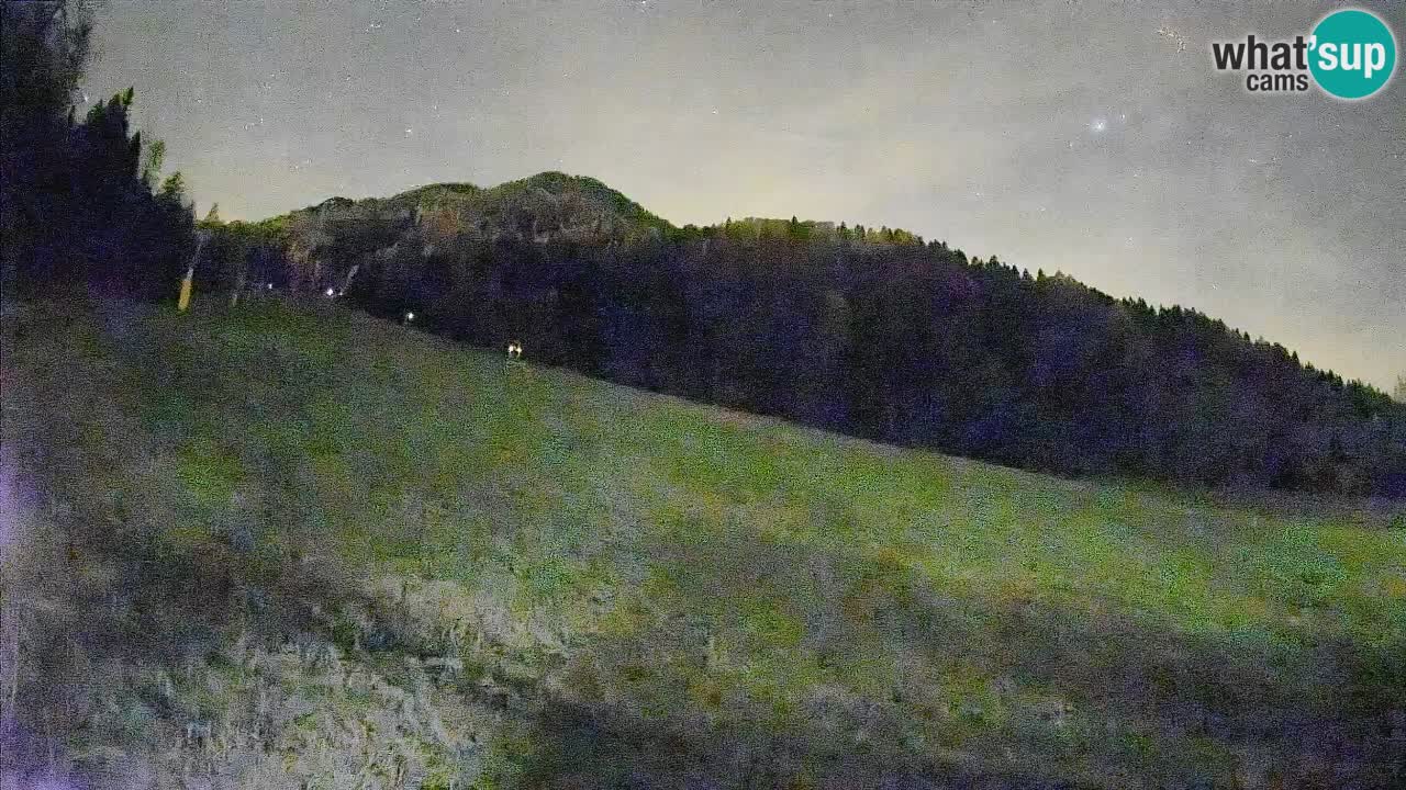 Ski Kranjska Gora | Brsnina