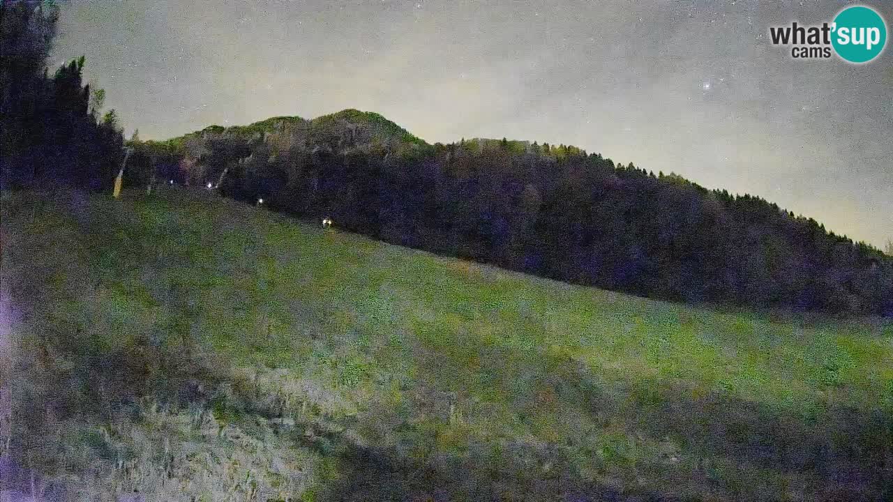 Kranjska Gora Station de ski | Brsnina