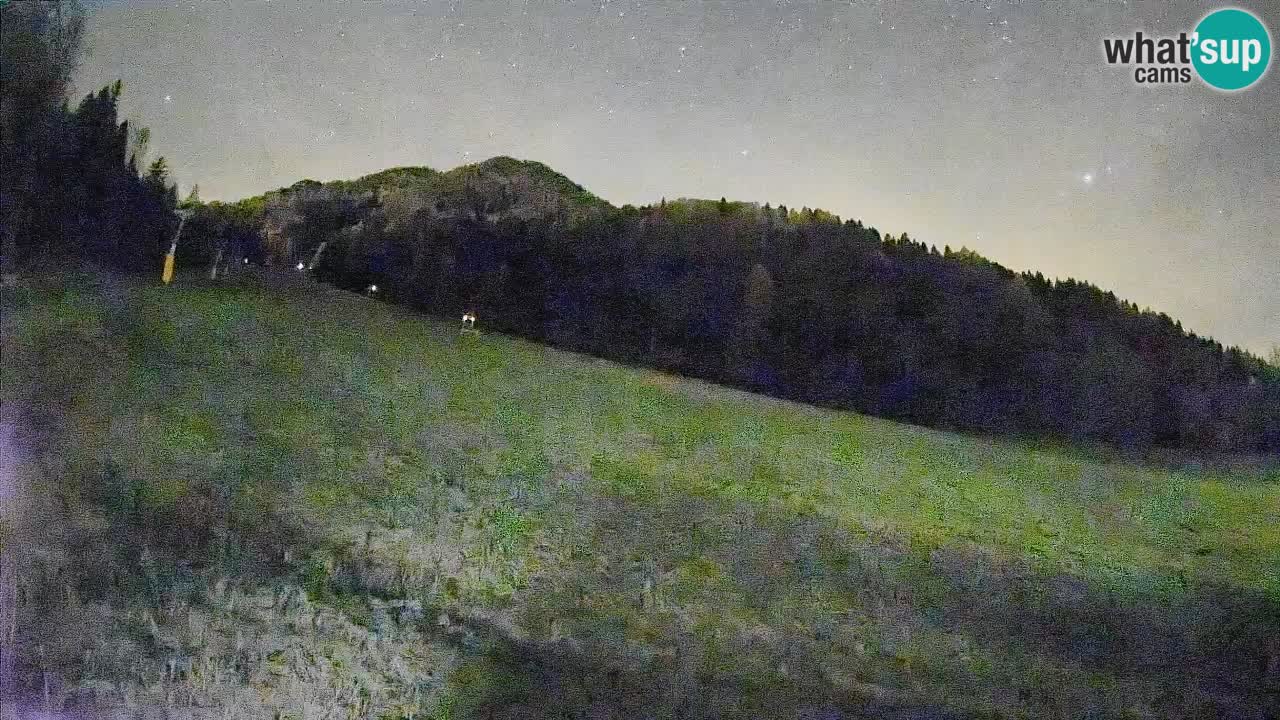 RTC Skigebiet Kranjska Gora | Brsnina