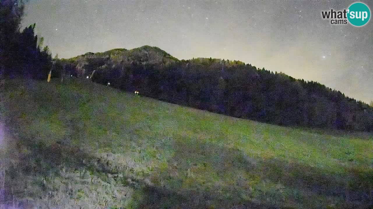 Kranjska Gora Station de ski | Brsnina