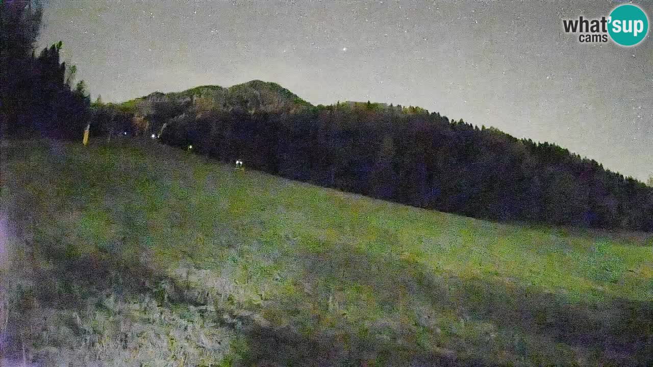 Kranjska Gora Station de ski | Brsnina