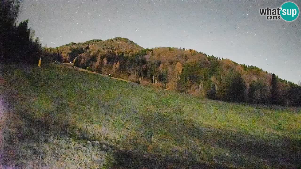 Kranjska Gora Station de ski | Brsnina