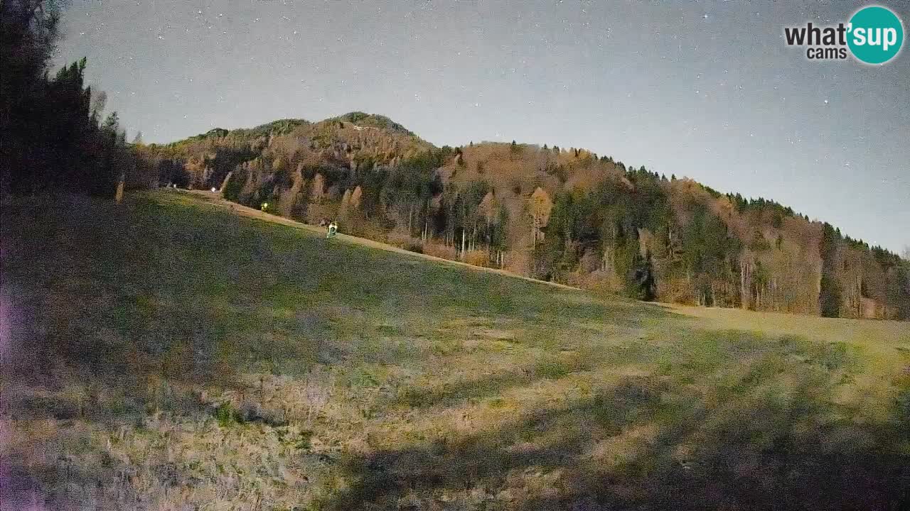 Kranjska Gora Station de ski | Brsnina