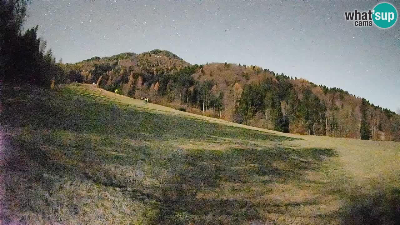 Ski Kranjska Gora | Brsnina