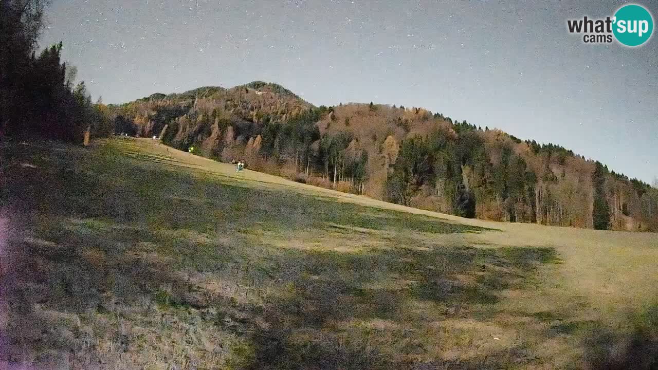 Ski Kranjska Gora | Brsnina