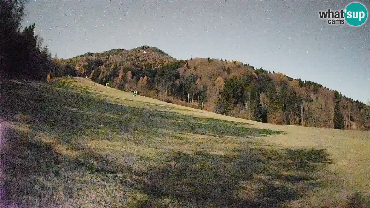 Ski Kranjska Gora | Brsnina