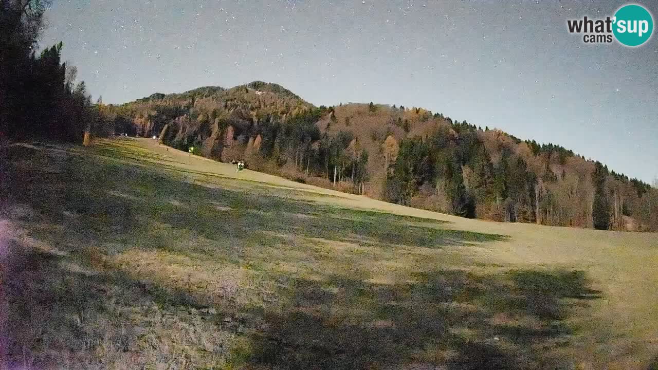 Comprensorio sciistico Kranjska Gora | Brsnina