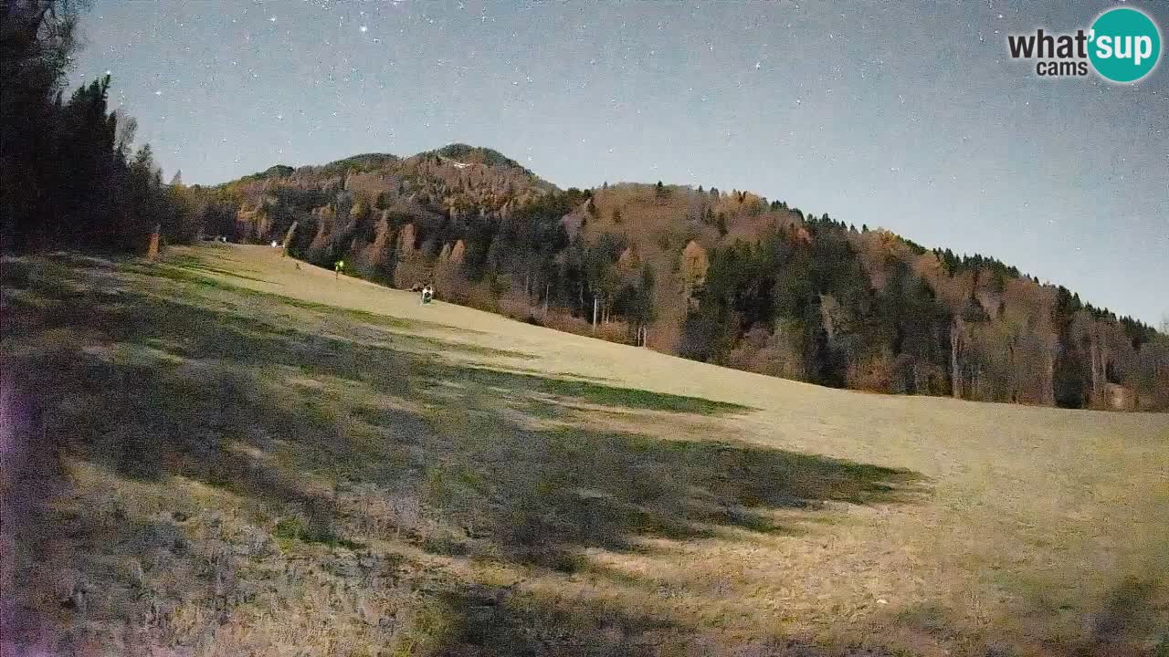 Ski Kranjska Gora | Brsnina