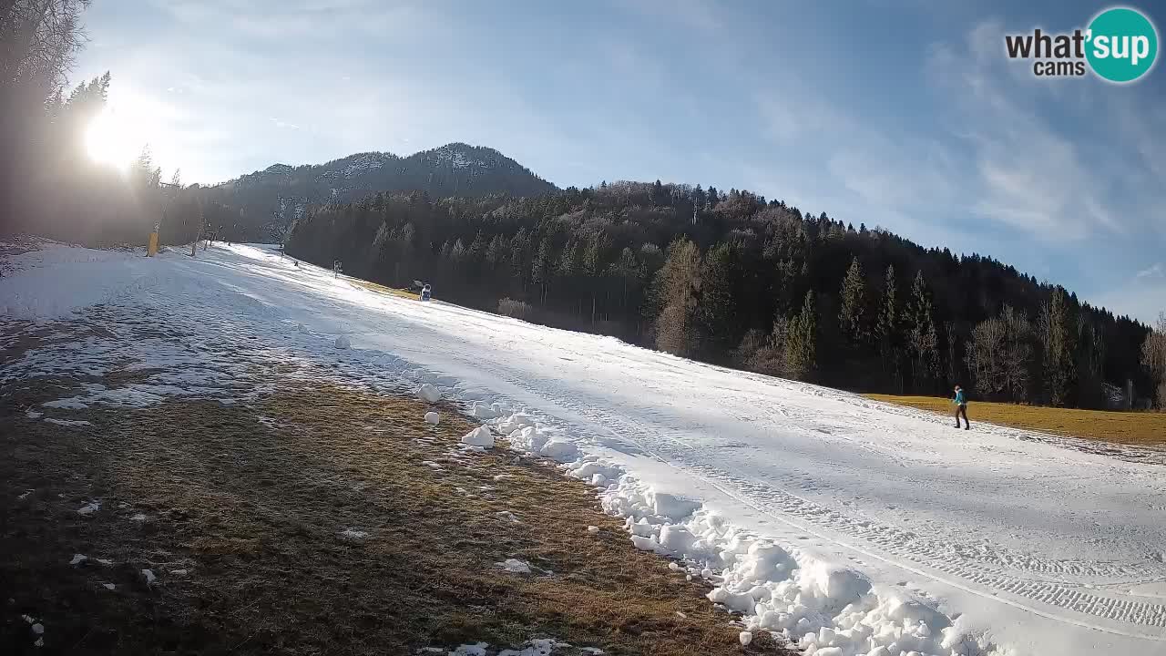 Esquí Kranjska Gora | Brsnina