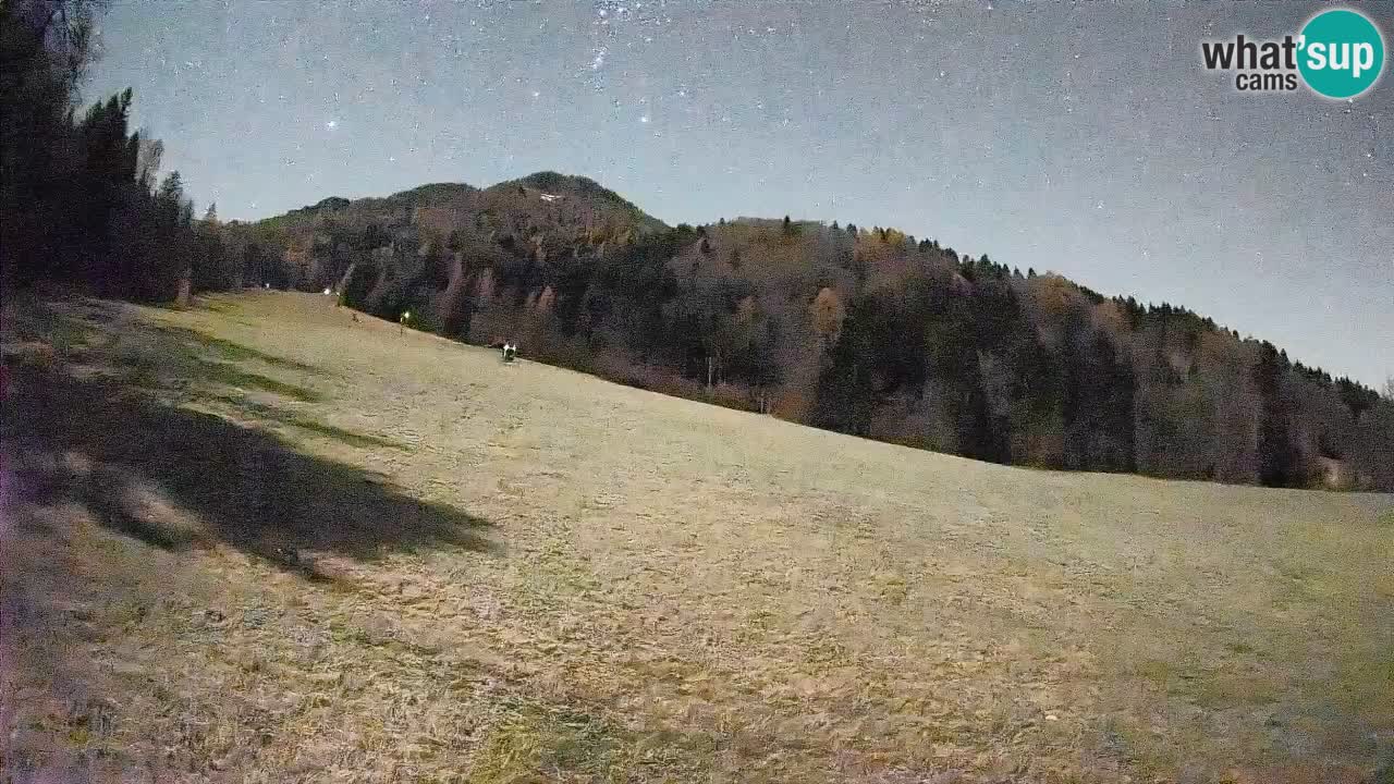 Ski Kranjska Gora | Brsnina