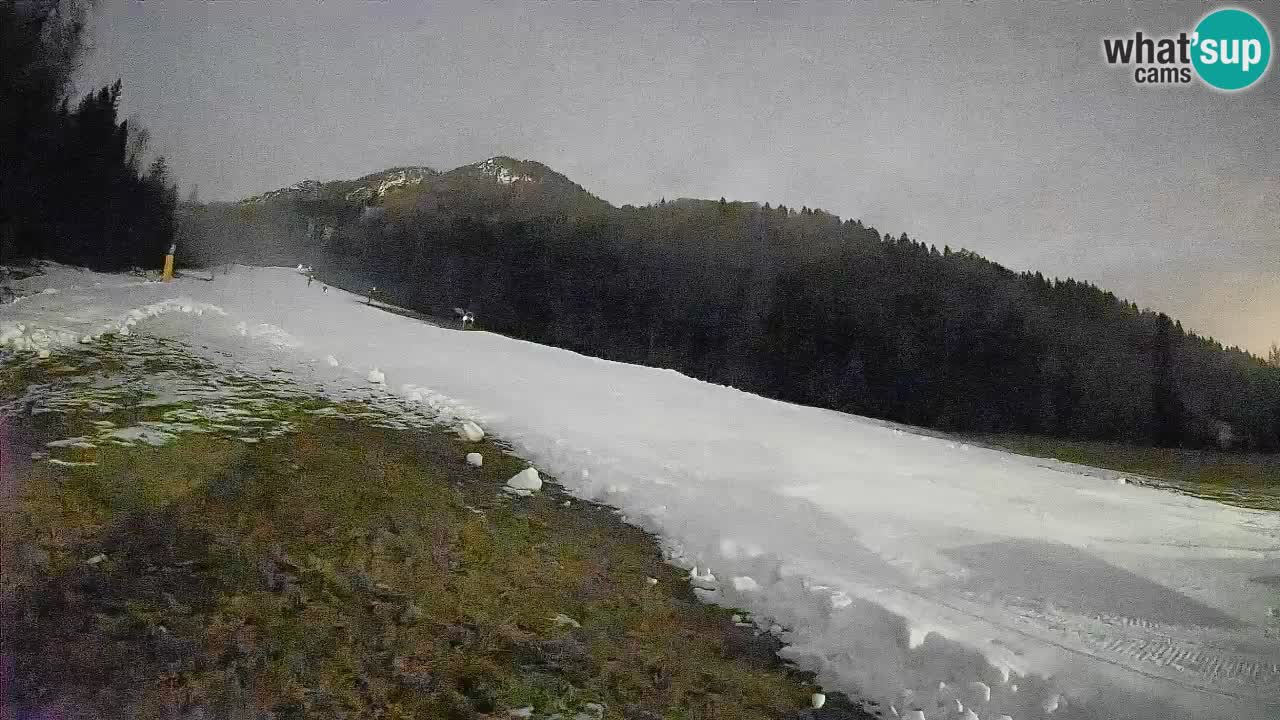 Esquí Kranjska Gora | Brsnina