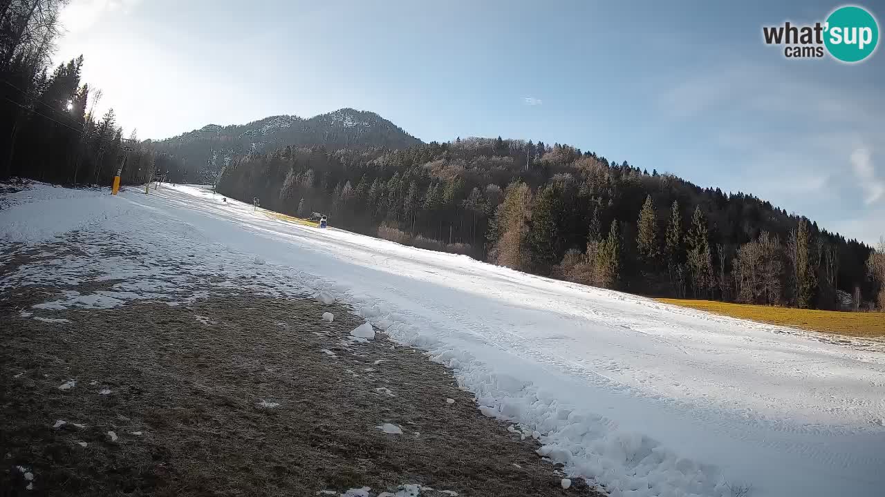 RTC Kranjska Gora | Brsnina
