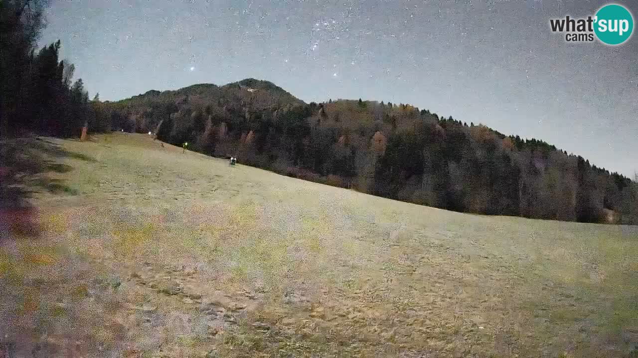 RTC Skigebiet Kranjska Gora | Brsnina