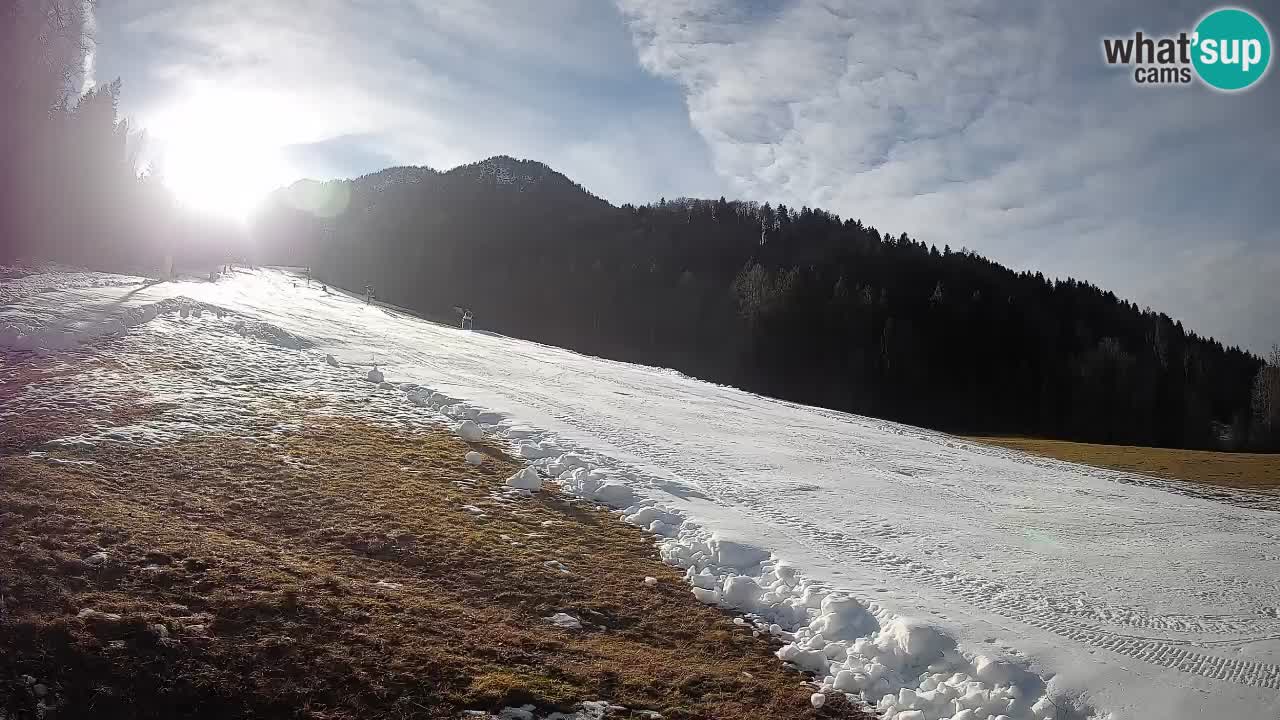 Ski Kranjska Gora | Brsnina