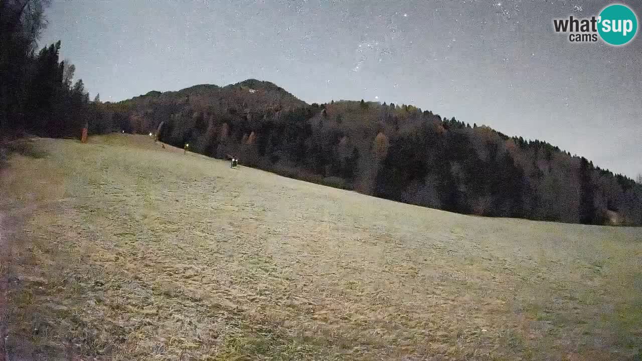 RTC Skigebiet Kranjska Gora | Brsnina