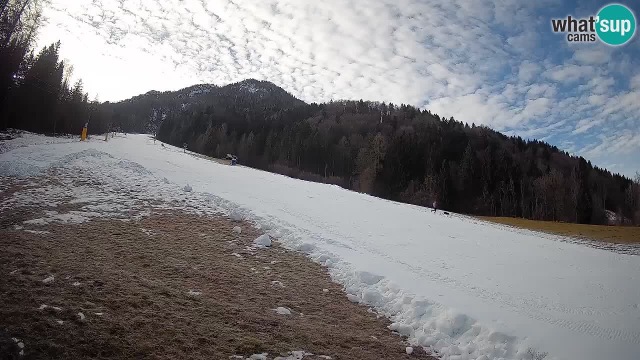 RTC Kranjska Gora | Brsnina