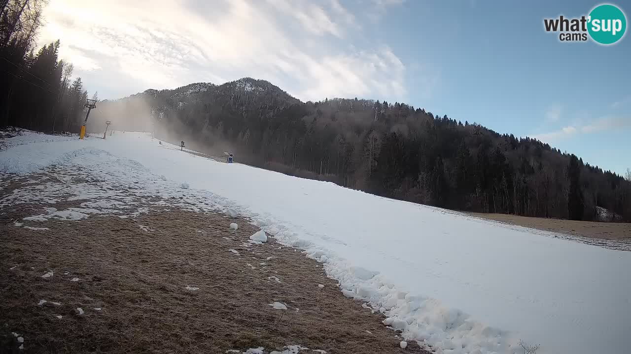 Kranjska Gora Station de ski | Brsnina