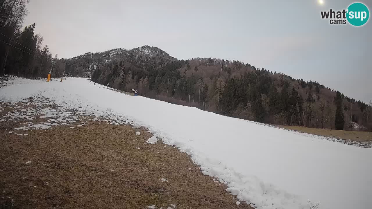 RTC Kranjska Gora | Brsnina