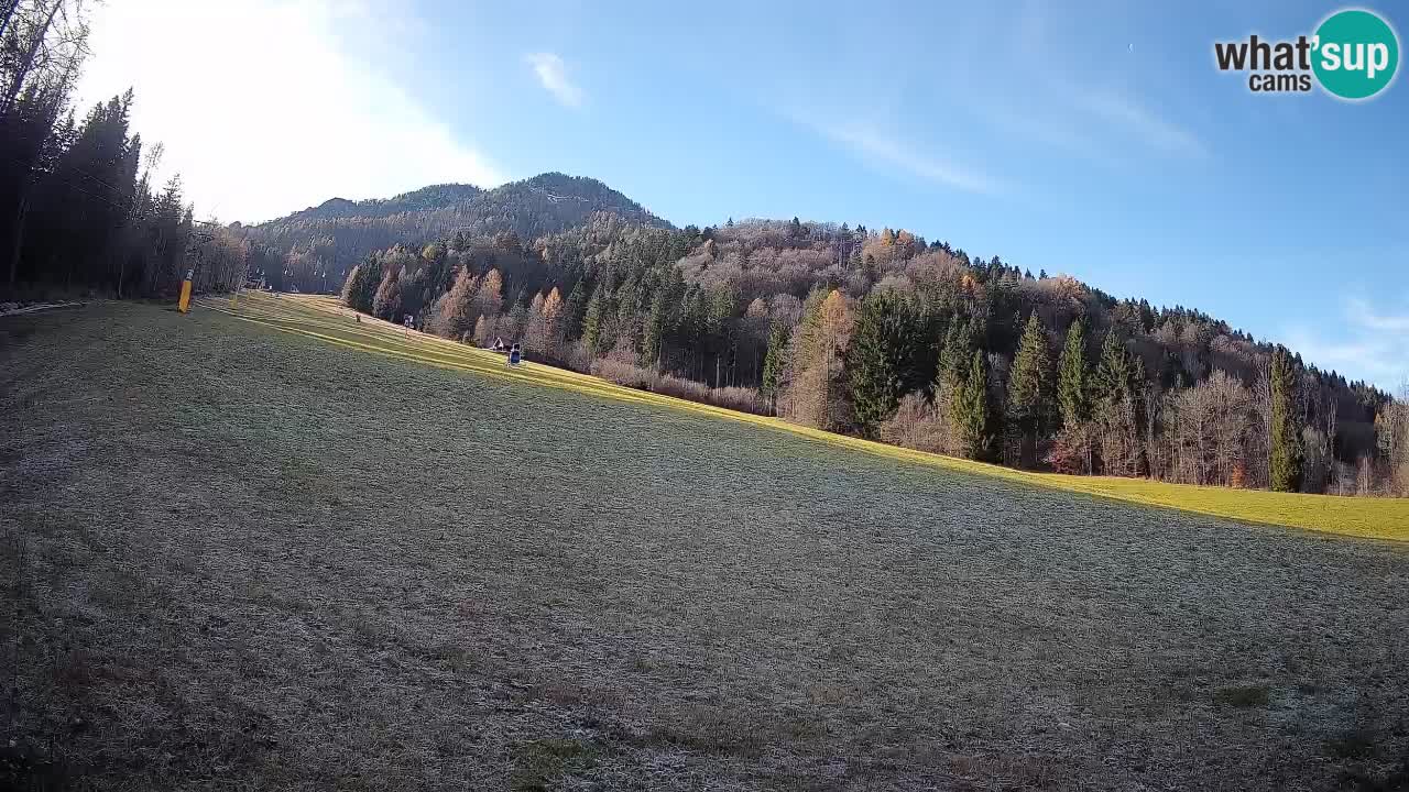 Kranjska Gora Station de ski | Brsnina