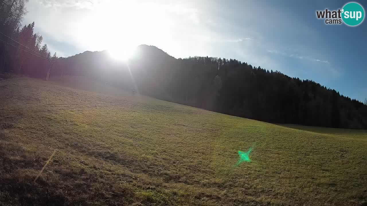 Ski Kranjska Gora | Brsnina