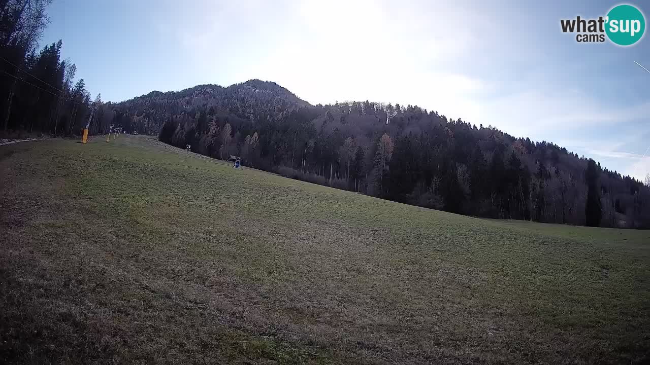 Ski Kranjska Gora | Brsnina