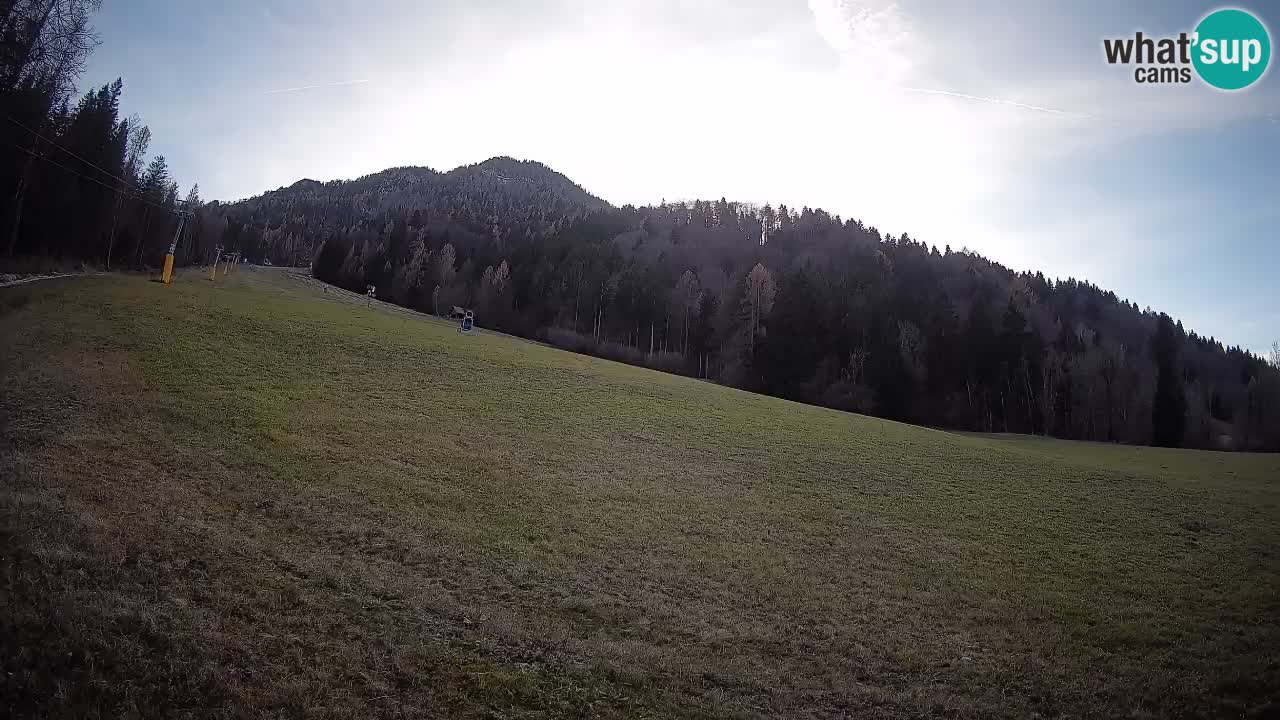 RTC Kranjska Gora | Brsnina