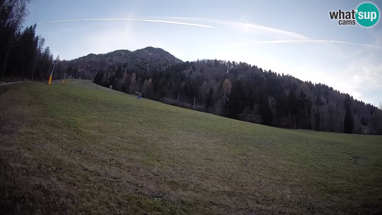 RTC Kranjska Gora | Brsnina