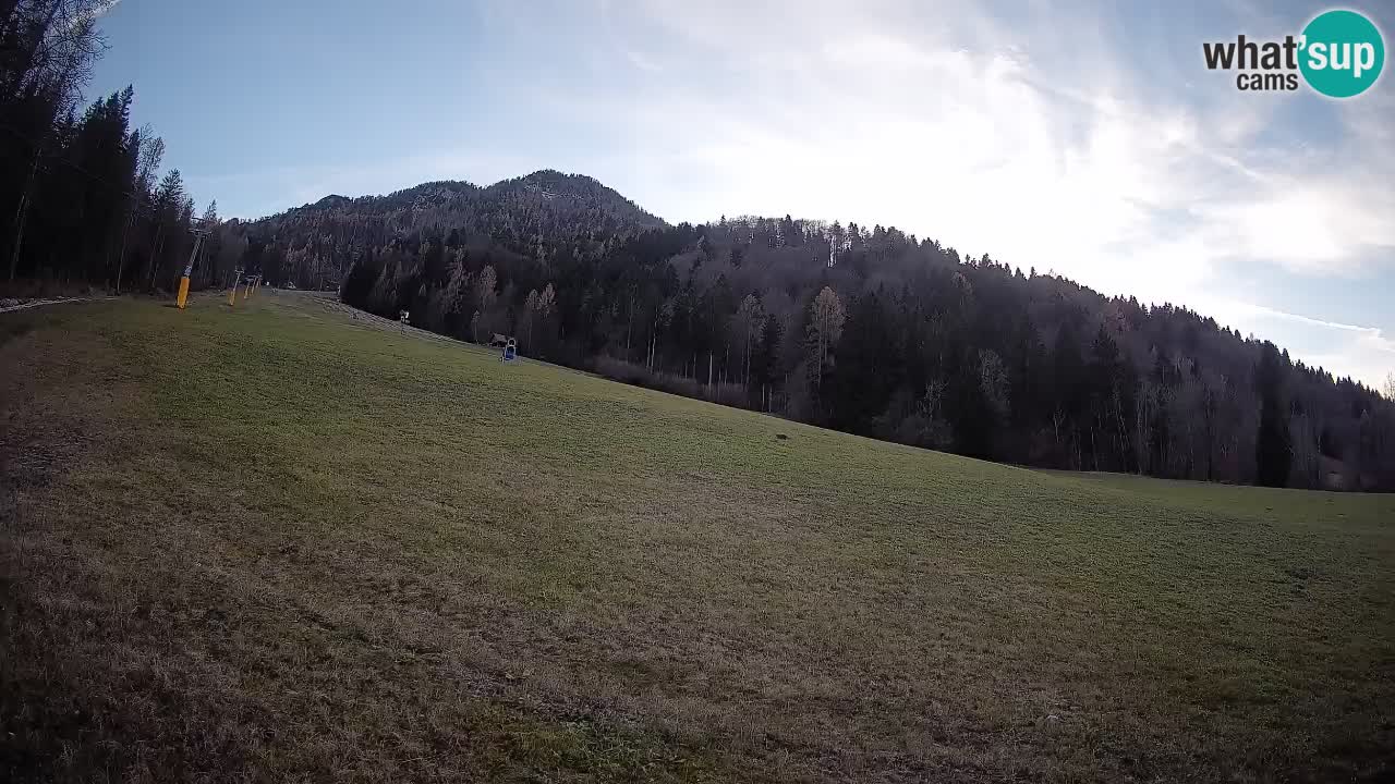 Kranjska Gora SKIJANJE | Brsnina