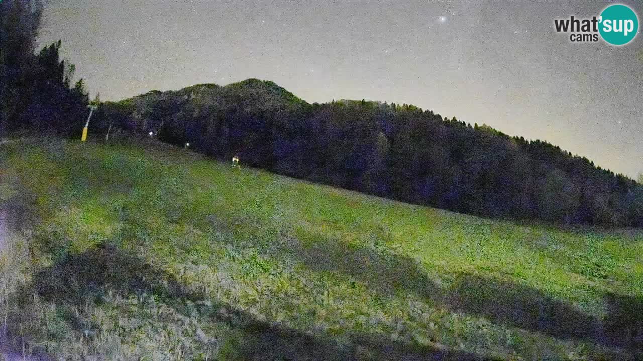 Ski Kranjska Gora | Brsnina