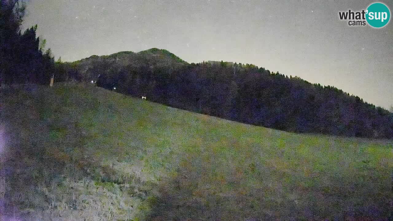 Ski Kranjska Gora | Brsnina