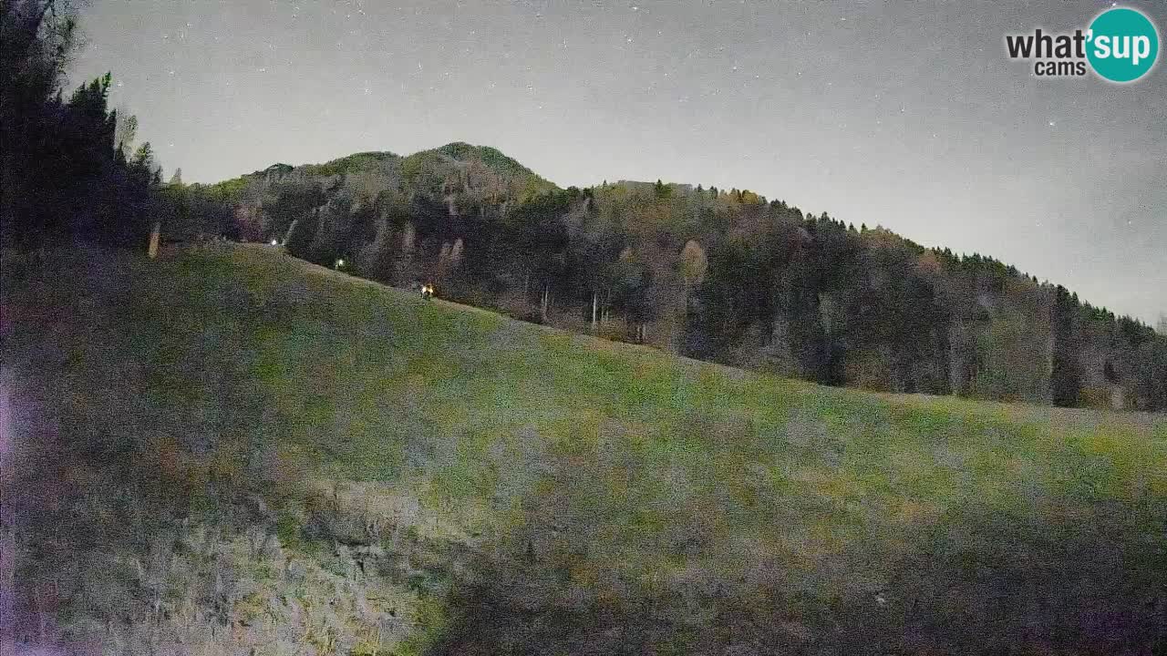 RTC Kranjska Gora | Brsnina