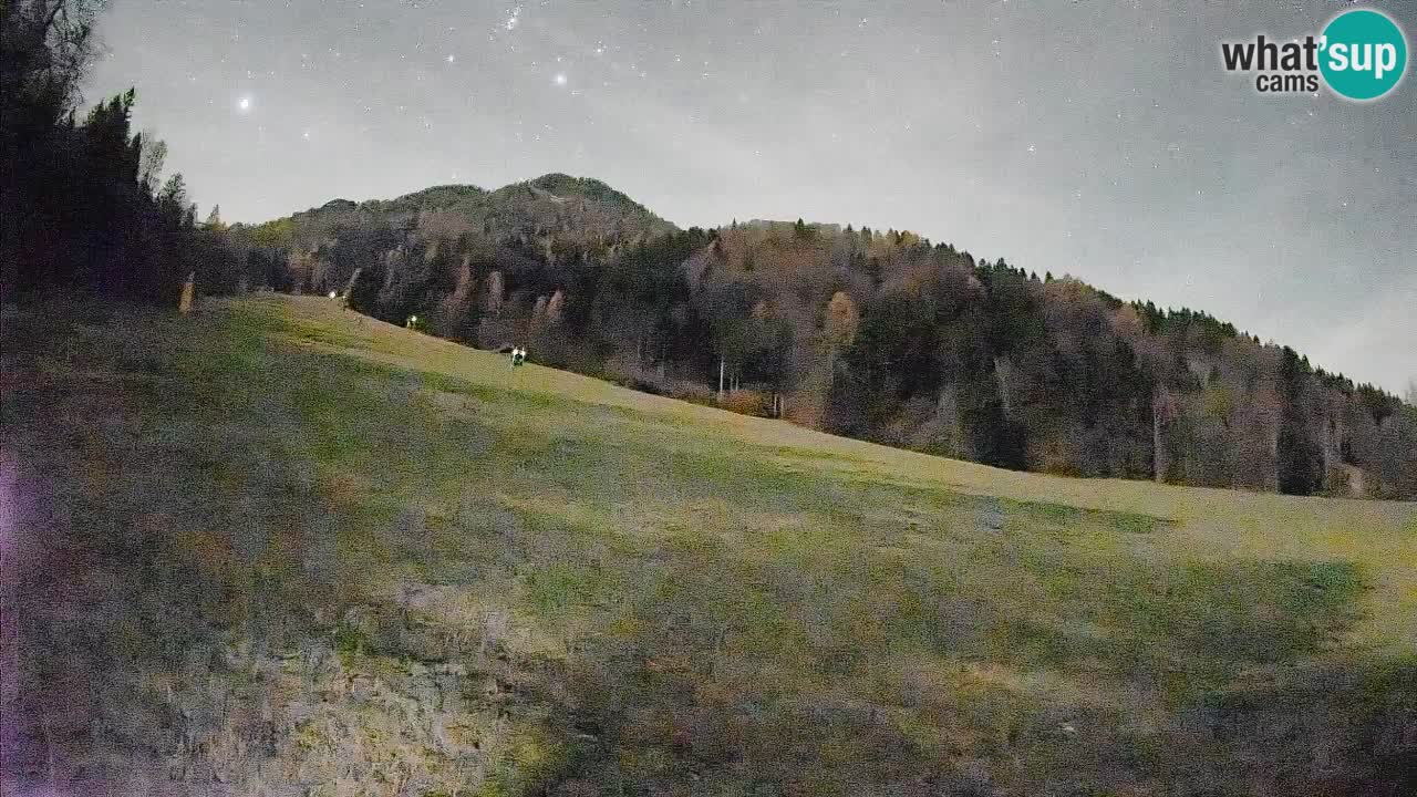 RTC Skigebiet Kranjska Gora | Brsnina