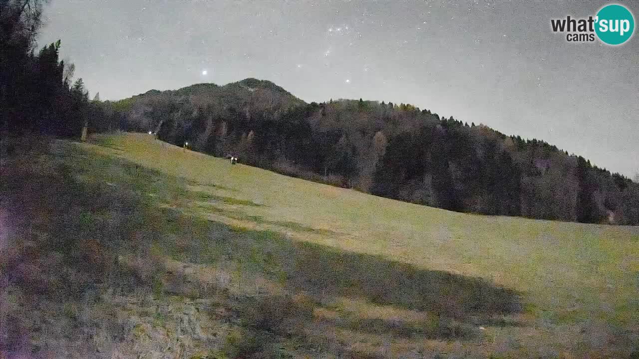 Esquí Kranjska Gora | Brsnina