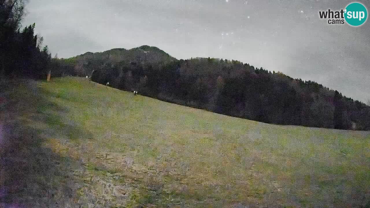 Ski Kranjska Gora | Brsnina