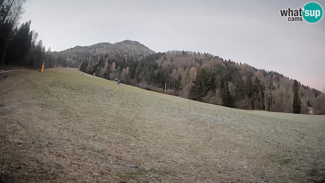 Ski Kranjska Gora | Brsnina