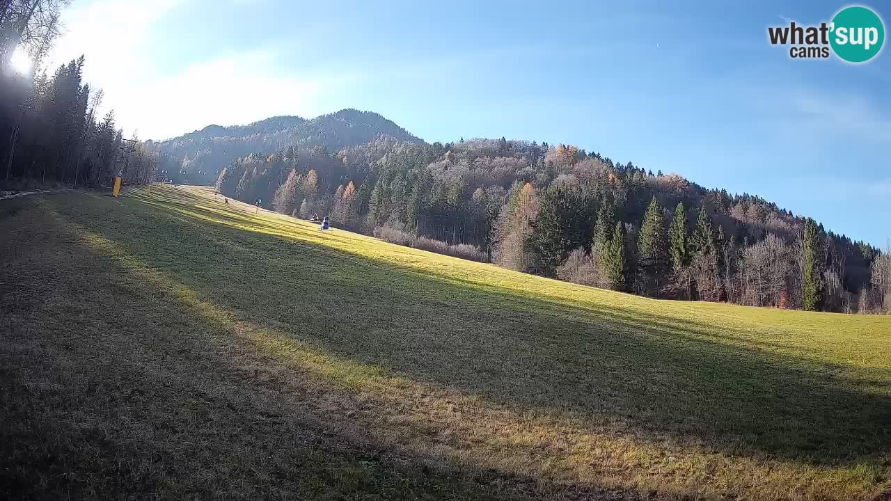 RTC Kranjska Gora | Brsnina
