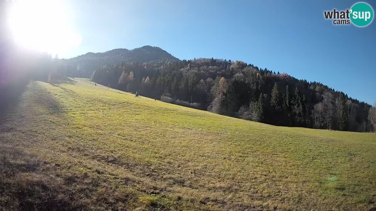 RTC Kranjska Gora | Brsnina