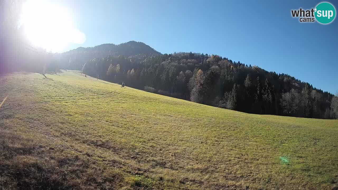 Comprensorio sciistico Kranjska Gora | Brsnina