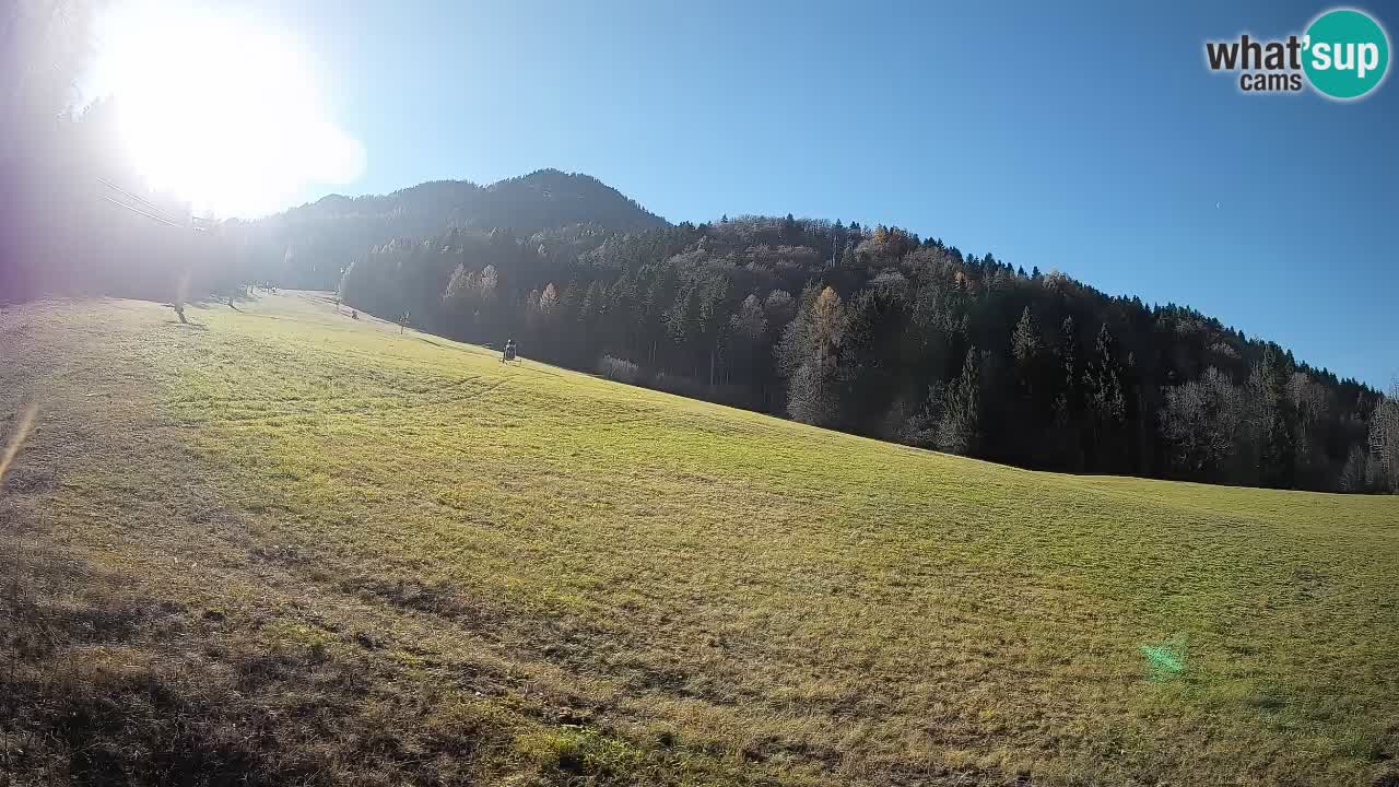 Kranjska Gora Station de ski | Brsnina