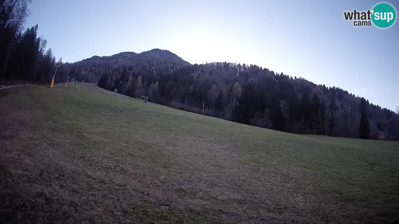 RTC Kranjska Gora | Brsnina