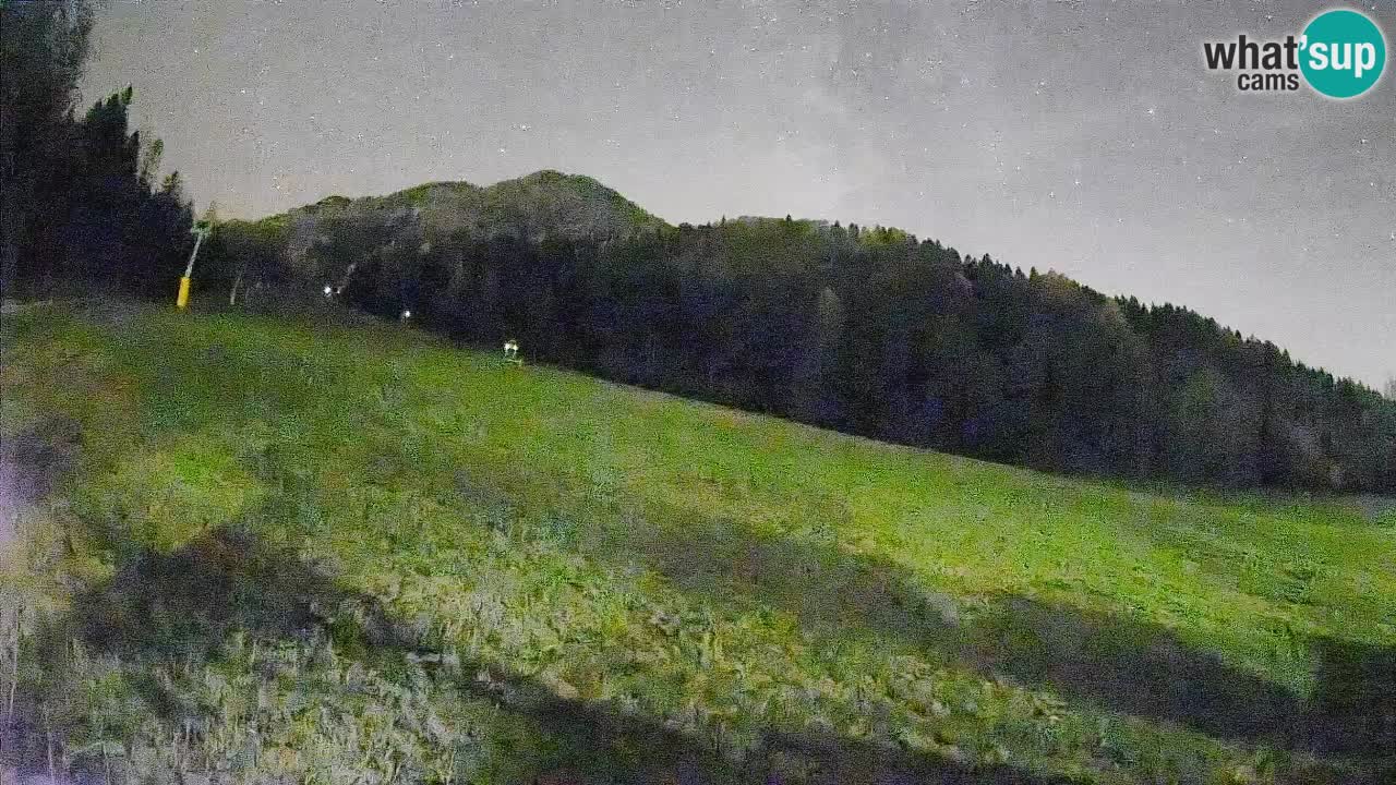 Kranjska Gora Station de ski | Brsnina