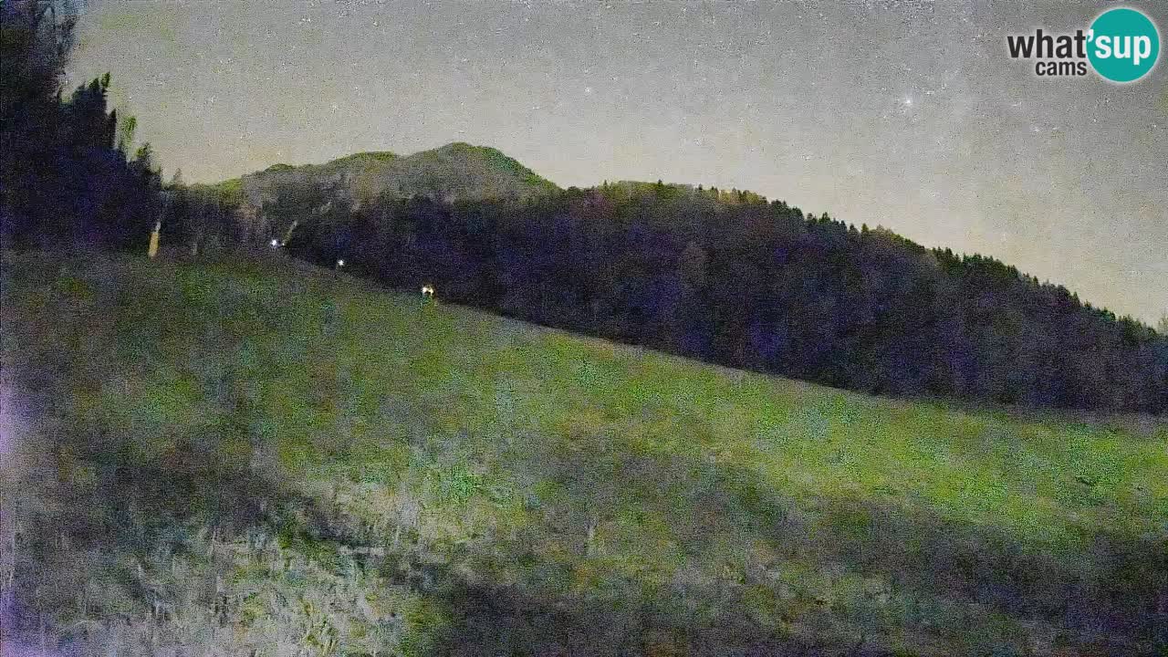 Comprensorio sciistico Kranjska Gora | Brsnina