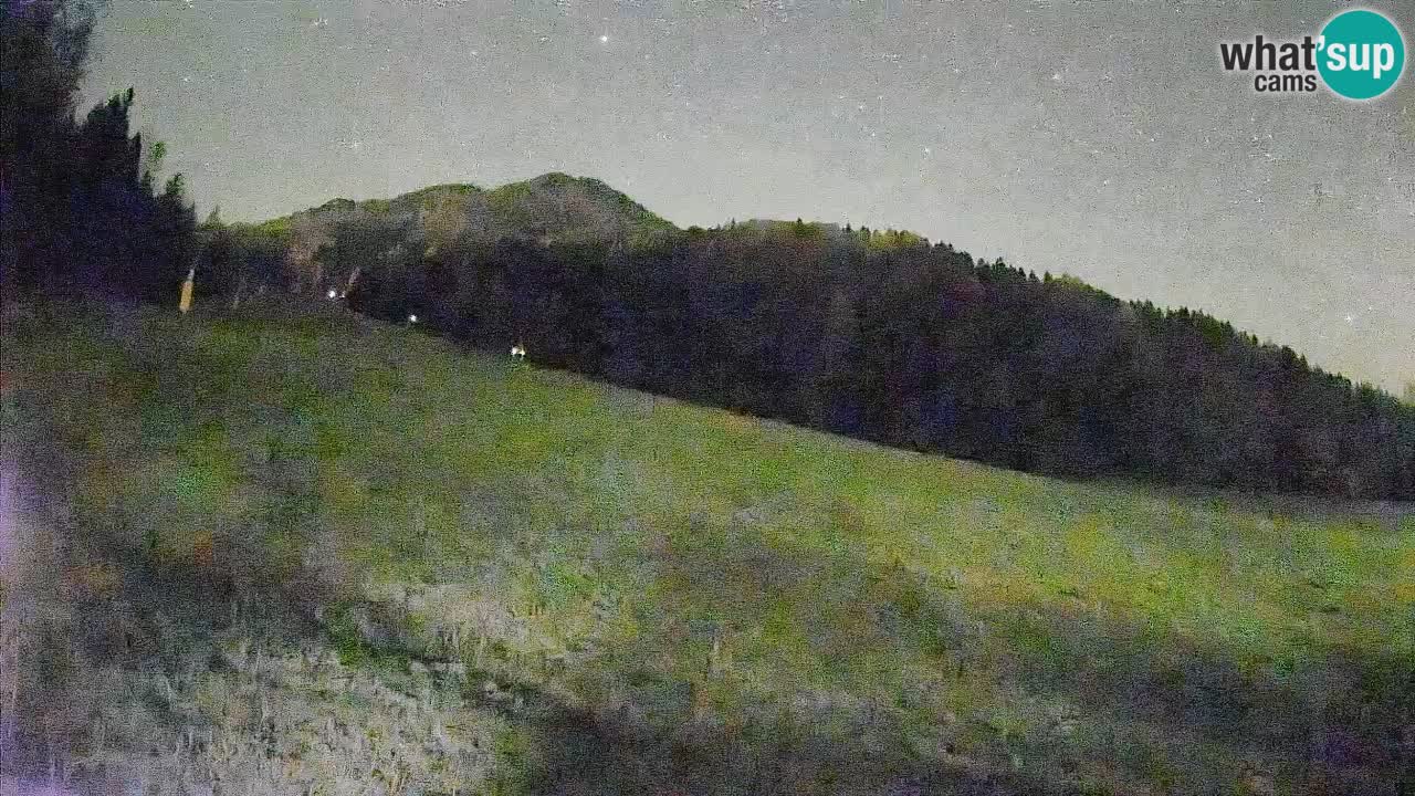 Comprensorio sciistico Kranjska Gora | Brsnina