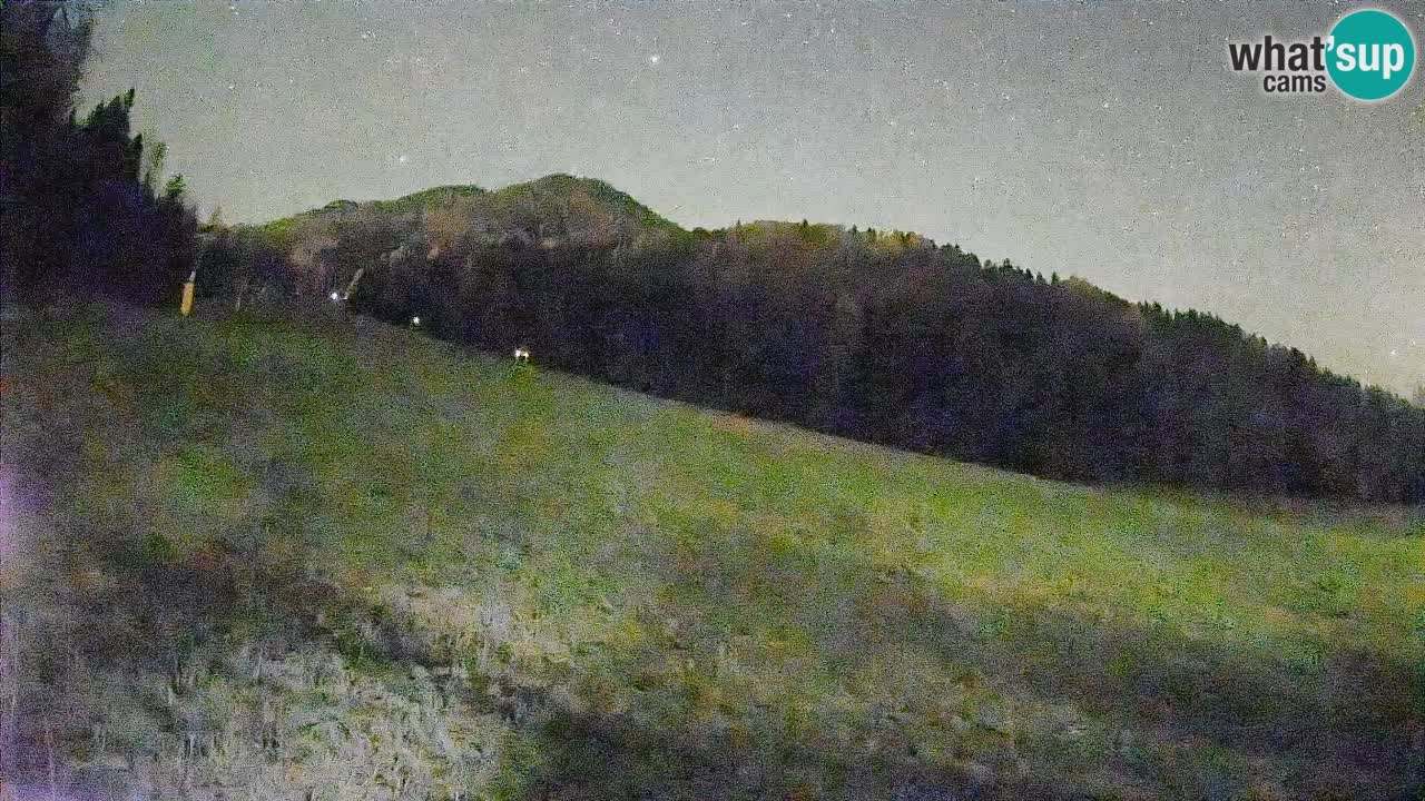 Ski Kranjska Gora | Brsnina