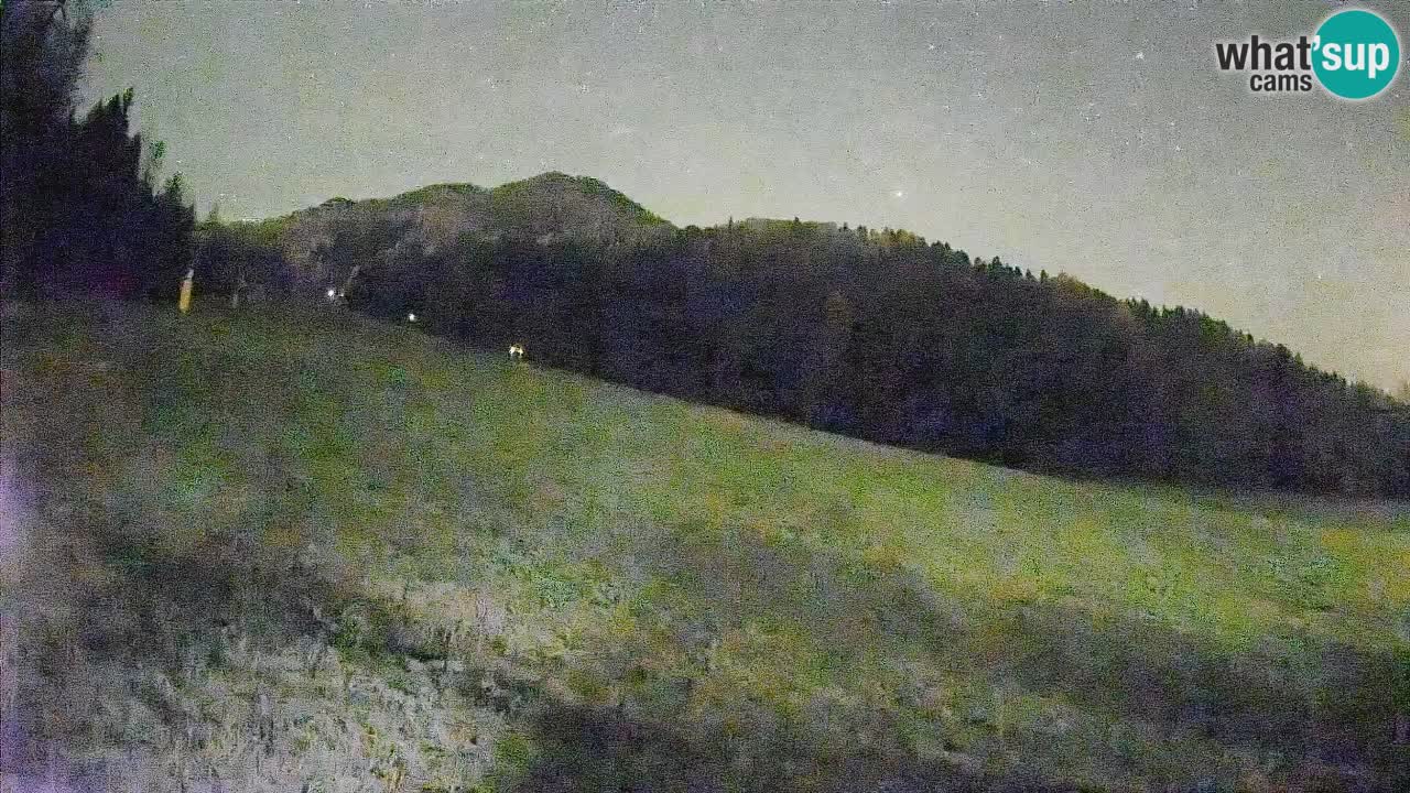 Ski Kranjska Gora | Brsnina