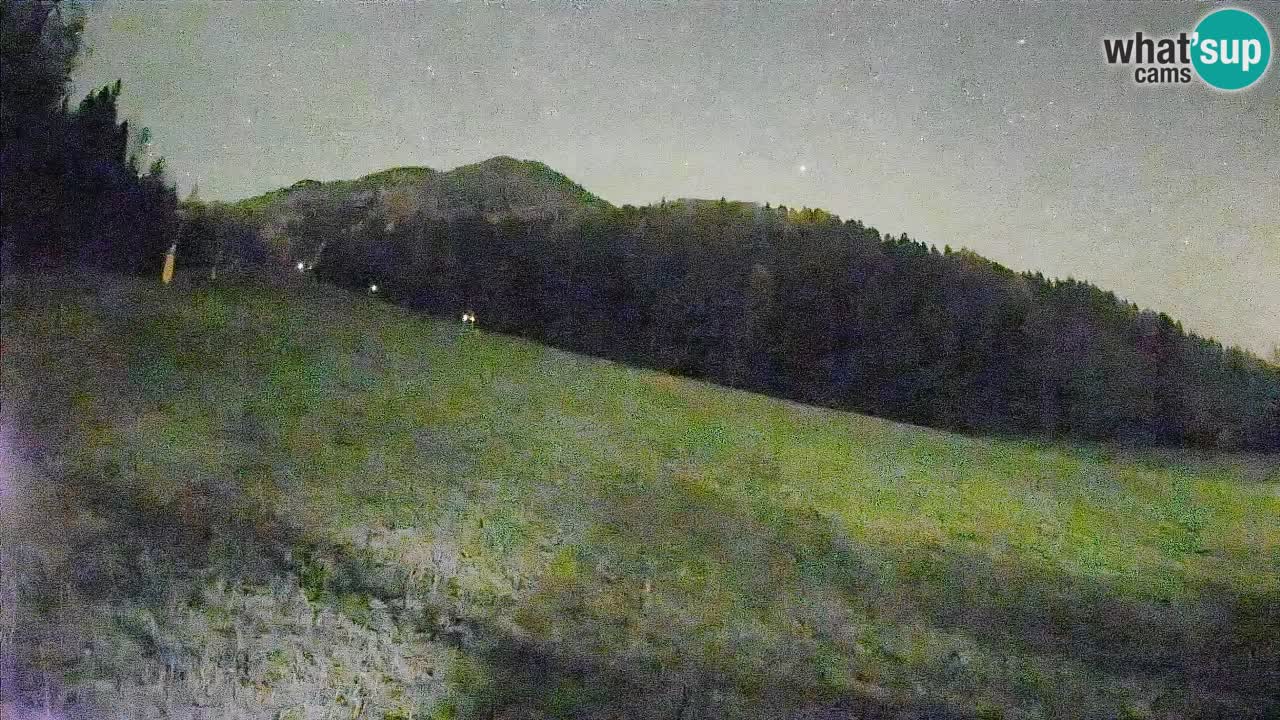 Ski Kranjska Gora | Brsnina